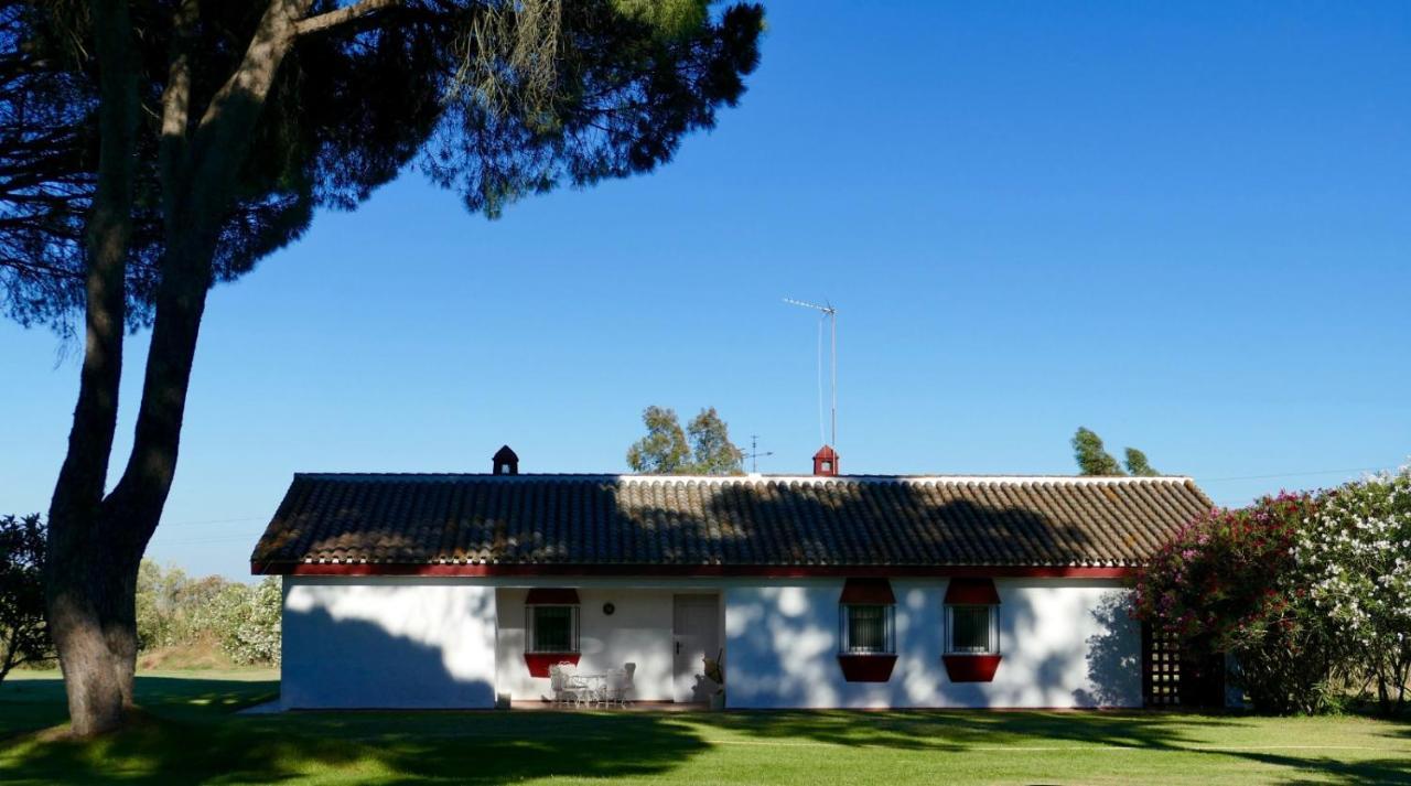 La Casita De Hato Pinos, Un Rincon En Donana Aznalcázar Kültér fotó