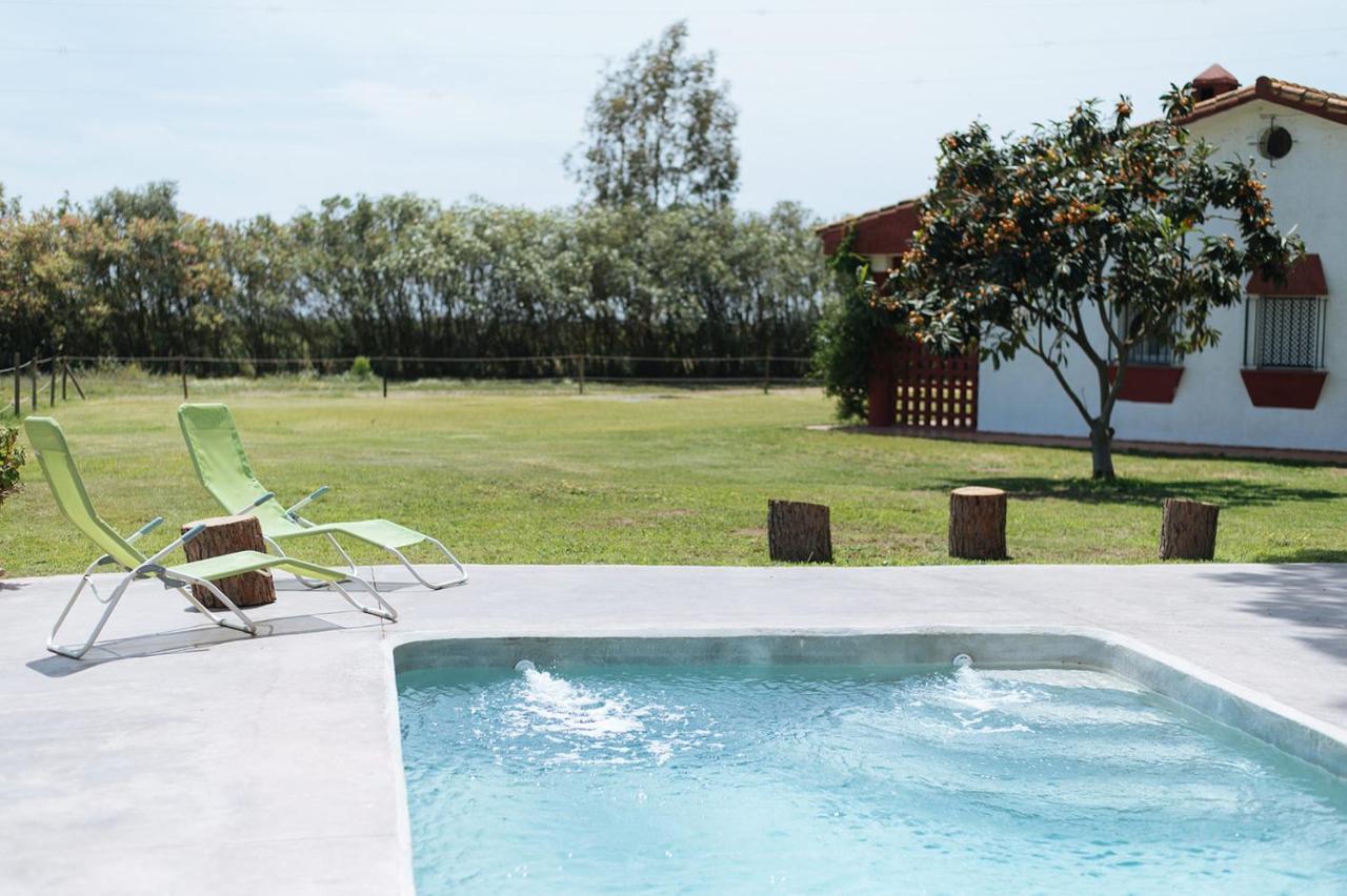 La Casita De Hato Pinos, Un Rincon En Donana Aznalcázar Kültér fotó