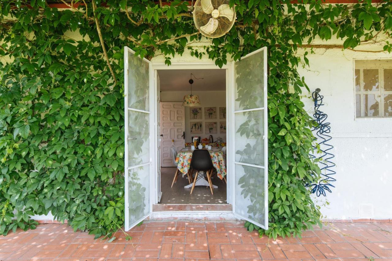 La Casita De Hato Pinos, Un Rincon En Donana Aznalcázar Kültér fotó